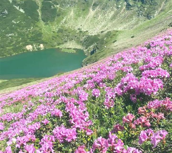 10 perfiles de escorts en Vezins, Francia. Explora chicas, servicios, tarifas y reserva online. En domicilio y visita disponibles.