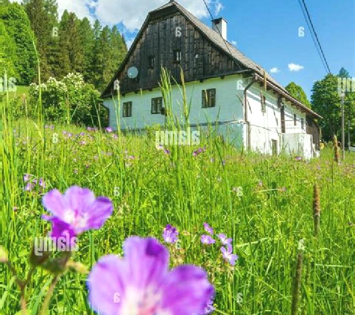 12 perfiles de escorts en Lanzendorf, Austria. Explora chicas, servicios, tarifas y reserva online. En domicilio y visita disponibles.