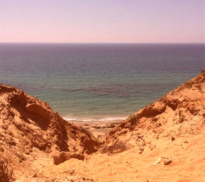 12 perfiles de escorts en Shefayim, Israel. Explora chicas, servicios, tarifas y reserva online. En domicilio y visita disponibles.