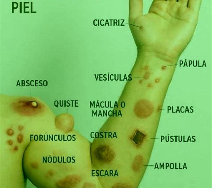 13 perfiles de escorts en Smrjene, Eslovenia. Explora chicas, servicios, tarifas y reserva online. En domicilio y visita disponibles.