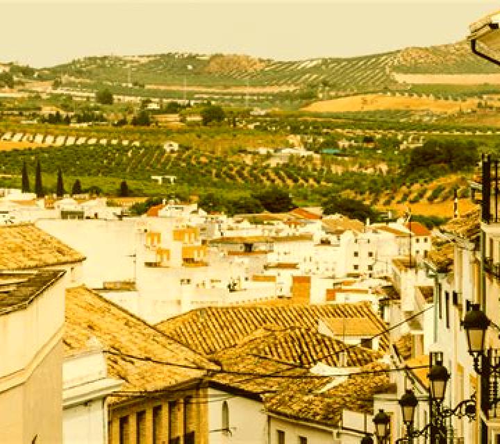 7 perfiles de escorts en Armenokhorion, Grecia. Explora chicas, servicios, tarifas y reserva online. En domicilio y visita disponibles.