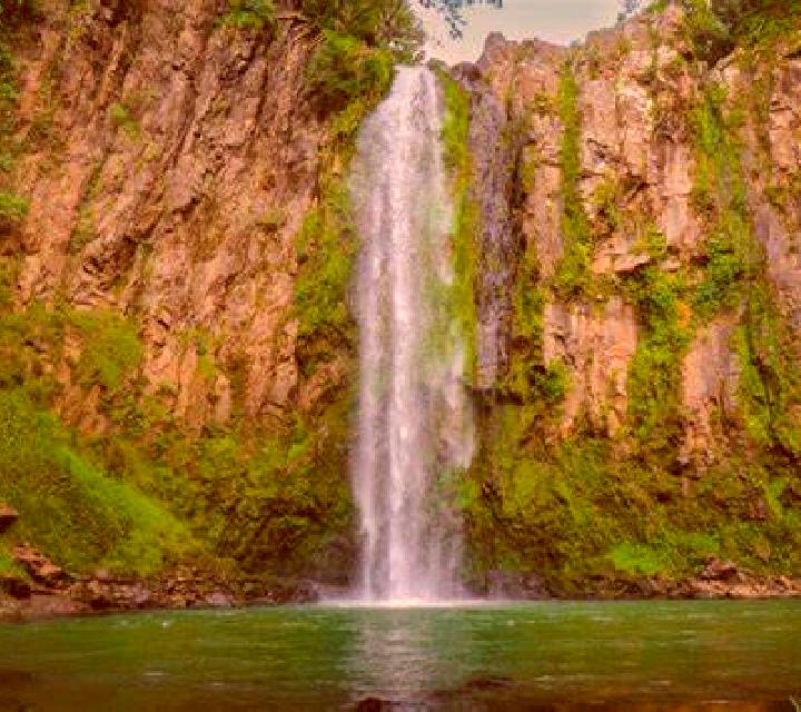 8 perfiles de escorts en El Zapotal del Norte, Honduras. Explora chicas, servicios, tarifas y reserva online. En domicilio y visita disponibles.