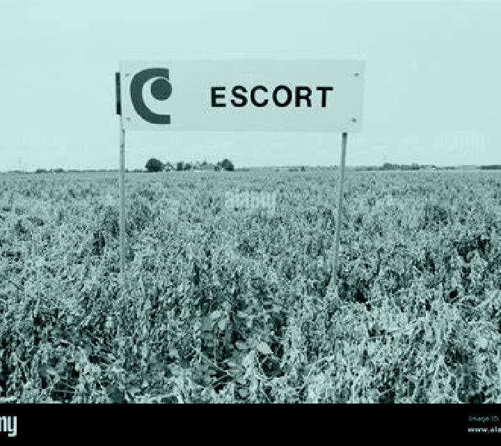 8 perfiles de escorts en Postoh, Indonesia. Explora chicas, servicios, tarifas y reserva online. En domicilio y visita disponibles.