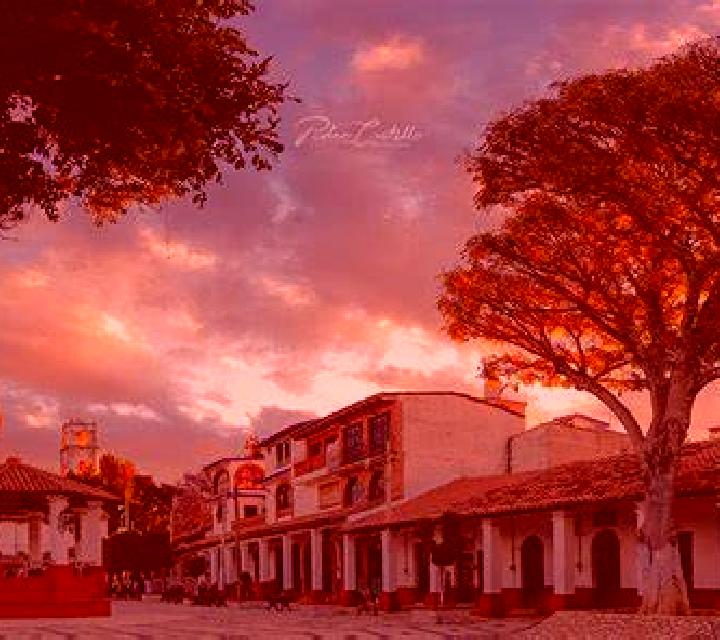 Alba, 21, acompañante negra de ojos ámbar y etnia eslava basada en San Juan Chamelco. Ofrece Juego de roles, Dominación, Striptease. Disponible en domicilio ...