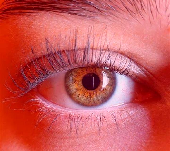 Antonella, 30, acompañante pelirroja de ojos grises y etnia negra basada en Los Yebenes. Ofrece Griego (anal), GFE (Experiencia de novia), Chica de fiesta, T...