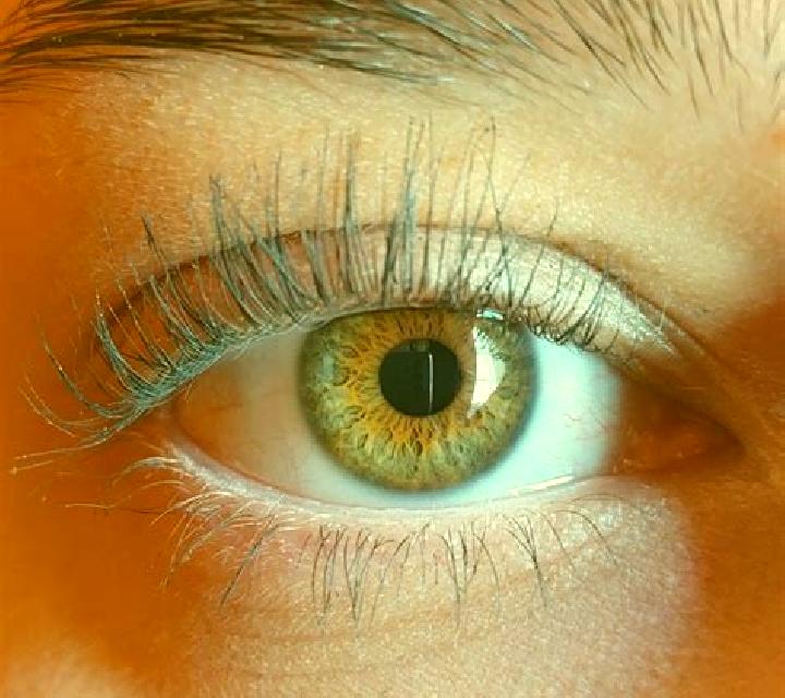 Beatriz, 25, acompañante castaña de ojos avellana y etnia caucásica basada en Gunan. Ofrece Masaje de próstata, Francés natural, Dominación. Disponible en do...