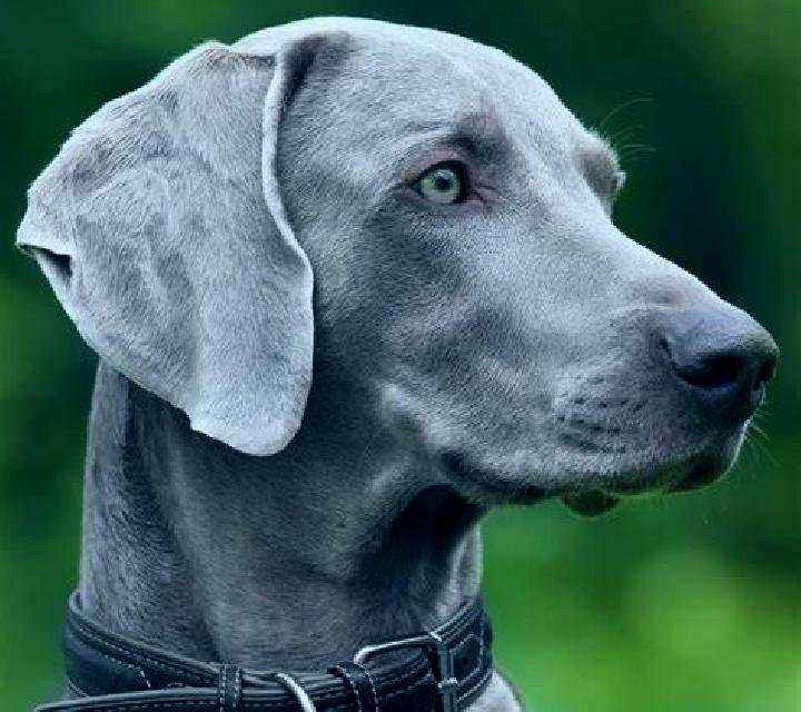 Camila, 30 — Escort en Mirissa city, Sri Lanka