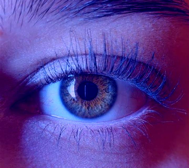 Claudia, 20, acompañante castaña de ojos oscuros y etnia india basada en Besqaraghay. Ofrece Hasta el final (CIM), Fetiche, Acompañante de viaje. Disponible ...