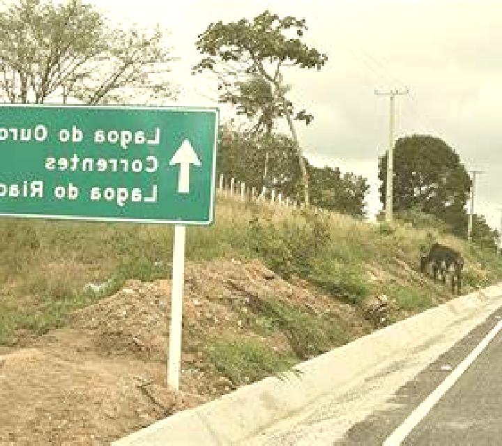 Daniela, 35, acompañante castaño claro de ojos verdes y etnia europea basada en Eita Village. Ofrece Experiencia de novia, Hasta el final (CIM), Masaje eróti...