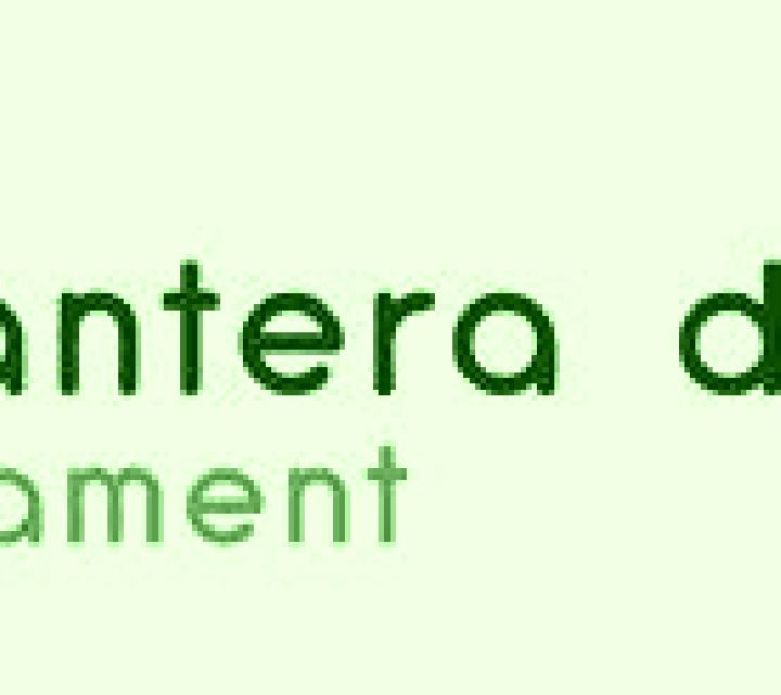 Elena, 26, acompañante castaño claro de ojos grises y etnia latina basada en Pueu. Ofrece Acompañante de viaje, GFE (Experiencia de novia), Tantra, Hasta el ...