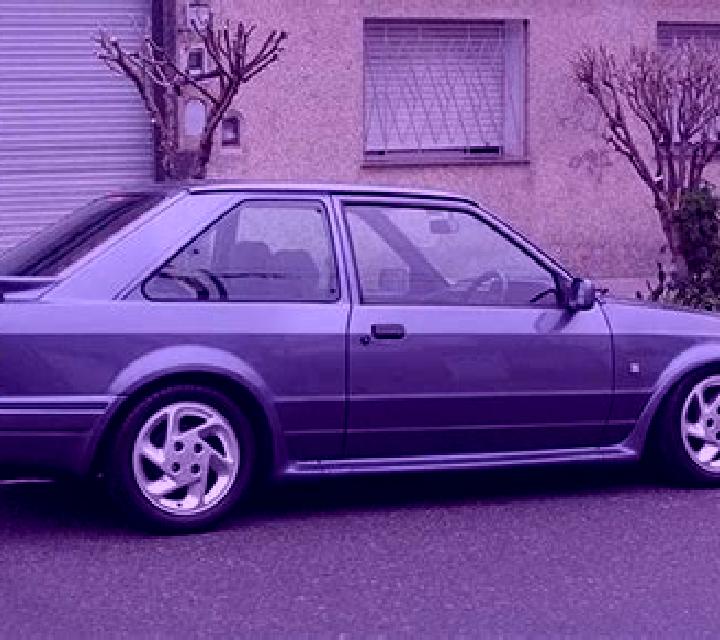 escort Arnstedt