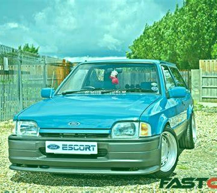 escort Belfiore