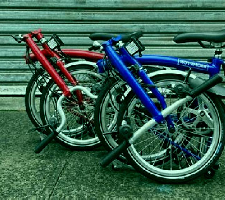 escort Belmont Estates