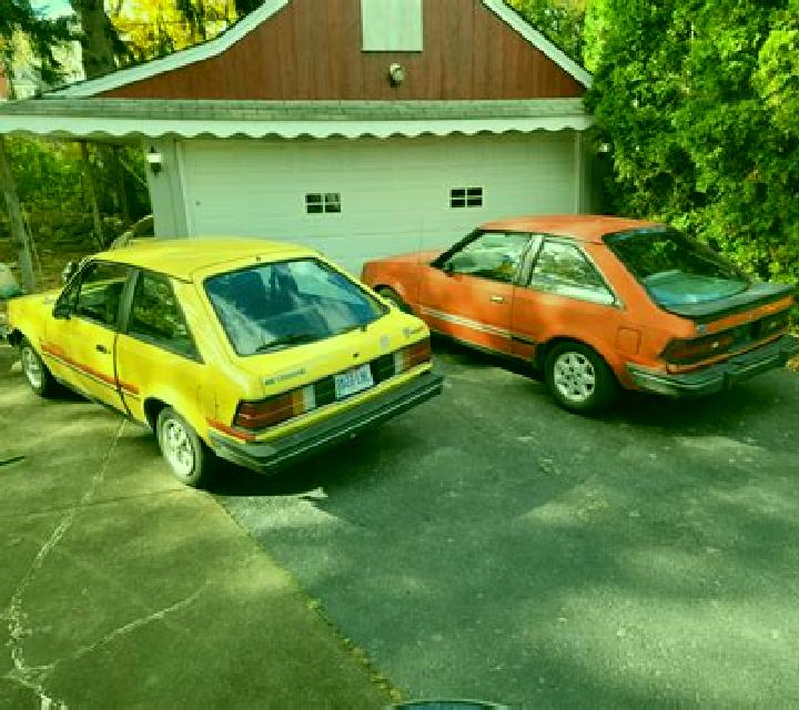 escort Bhadauni