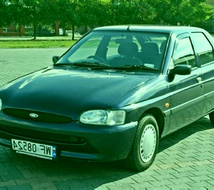 escort Bytyc