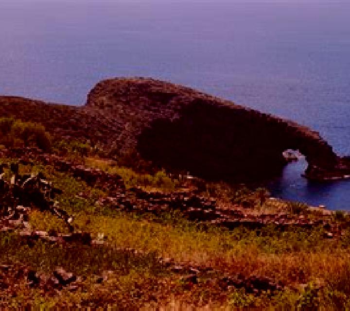 escort Craciunesti
