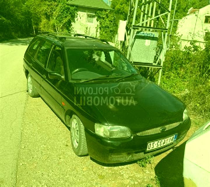 escort Donja Vrba