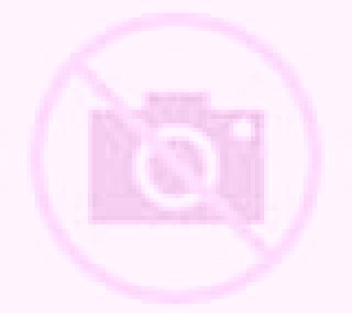 escort Dzalaa