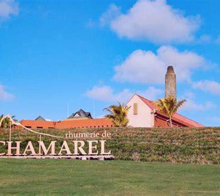 escort El Maamoura