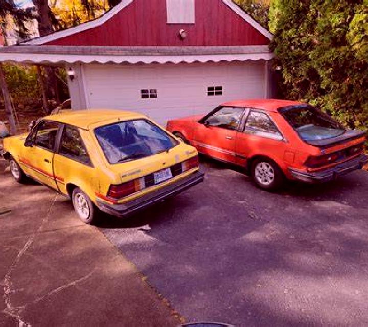 escort Evanston Gardens