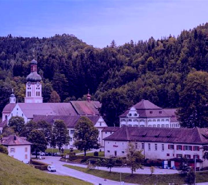 escort Fischingen