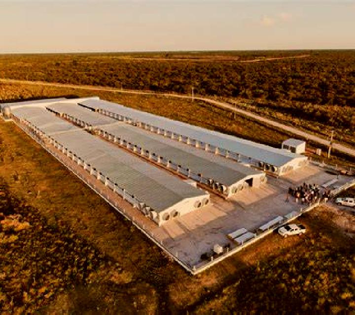 escort Fretin