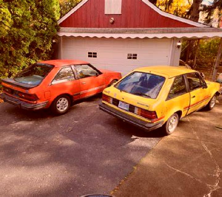 escort Friedrichsbrunn