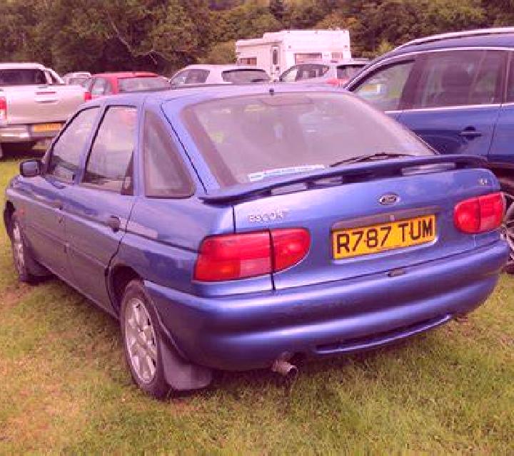 escort Golbey