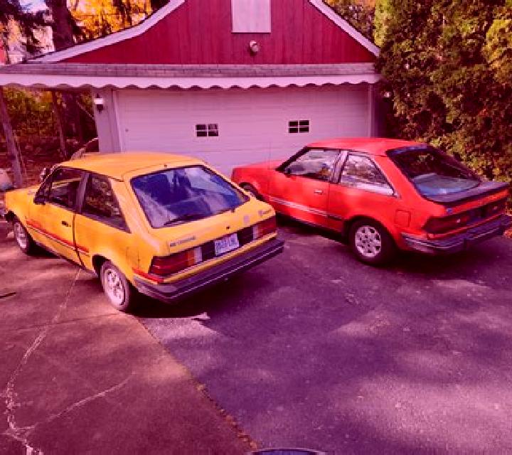 escort Herfelingen