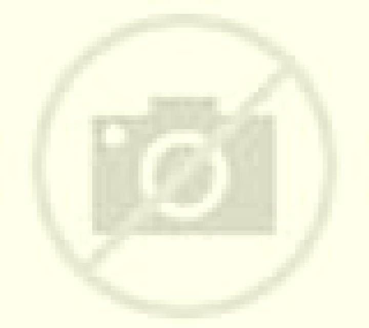 escort High Halden