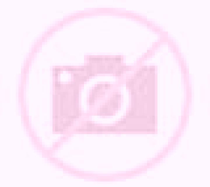 escort Karanggayam