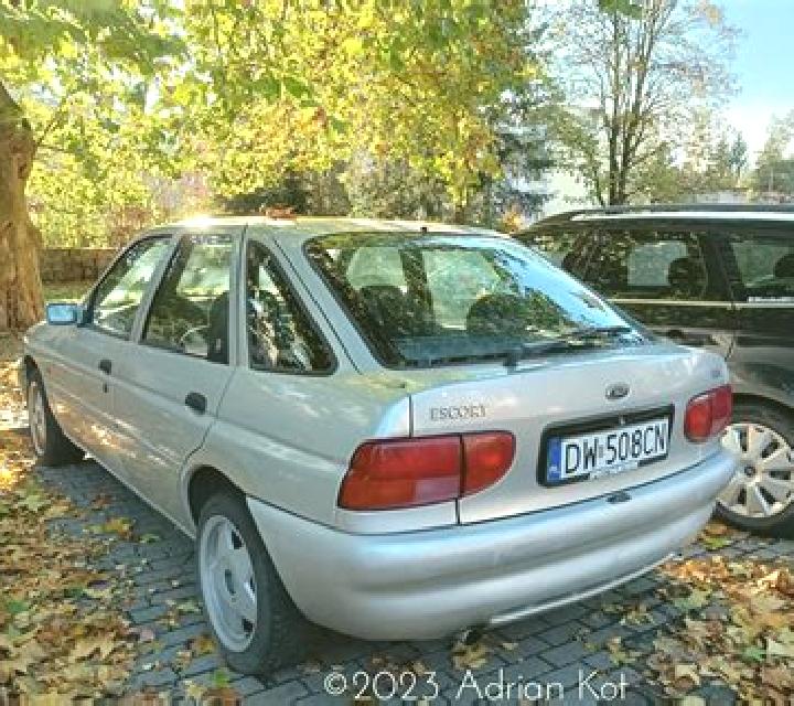 escort Knighton