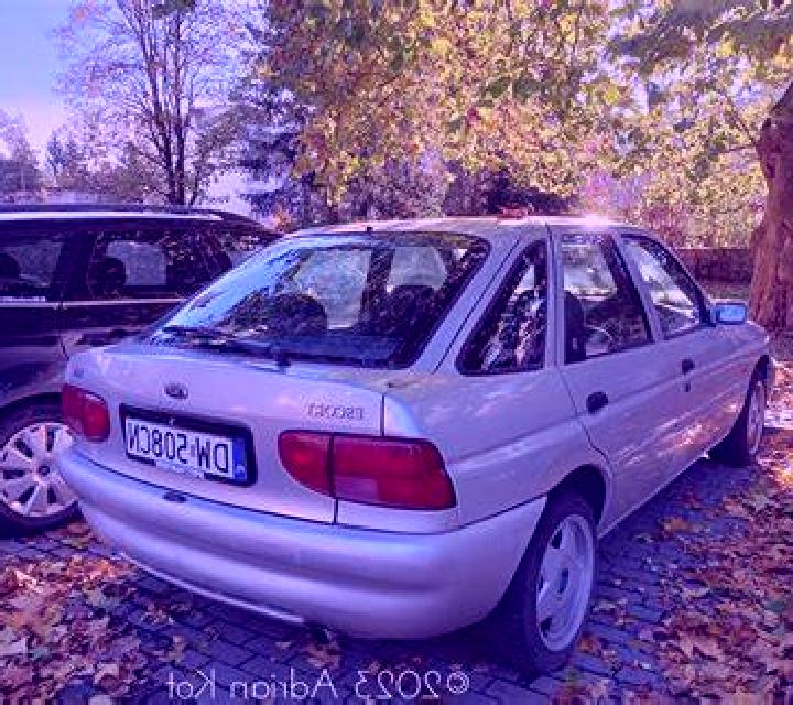 escort Kopoky