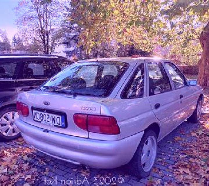 escort La Renaudiere