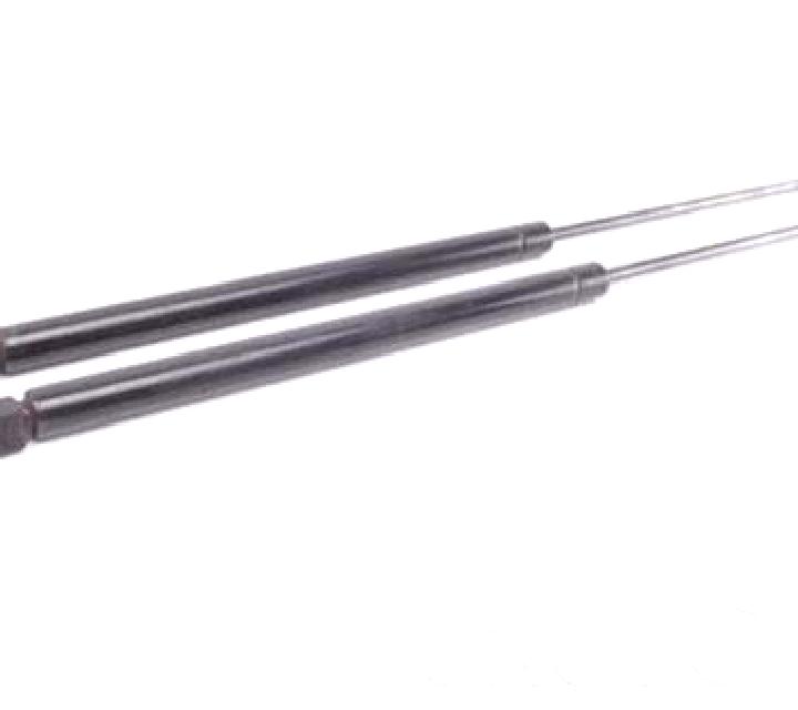 escort Montevideo