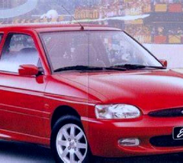 escort Novorizonte