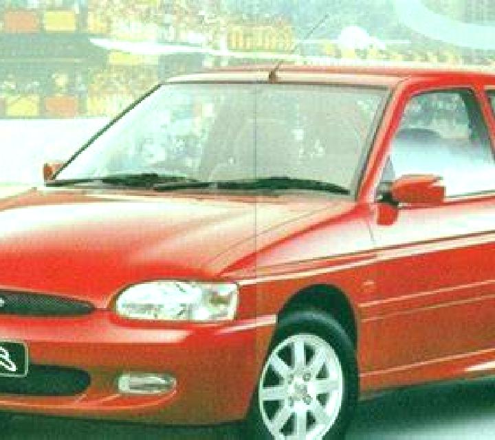 escort Novyy Rogachik