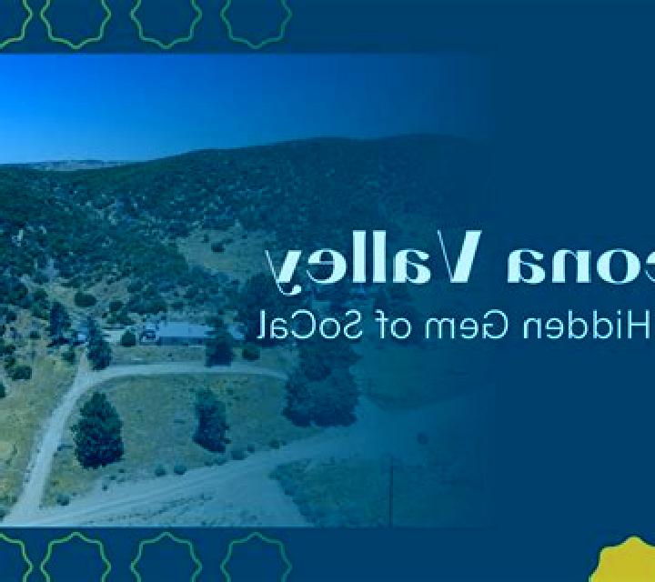 escort Pajic Polje