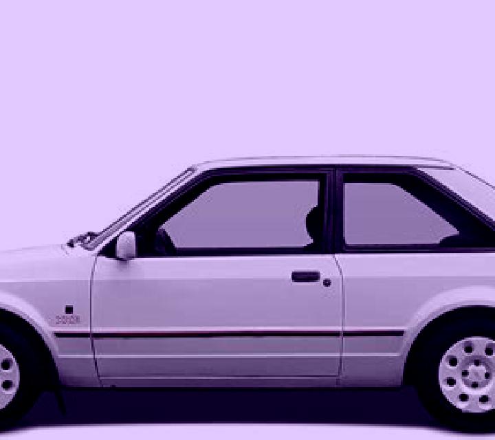escort Paldau