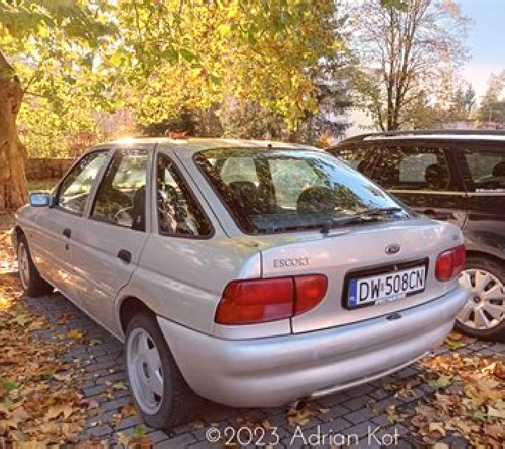 escort Sarzbuttel