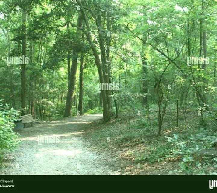 escort So Kwun Wat Tsuen