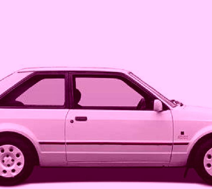 escort Stegna