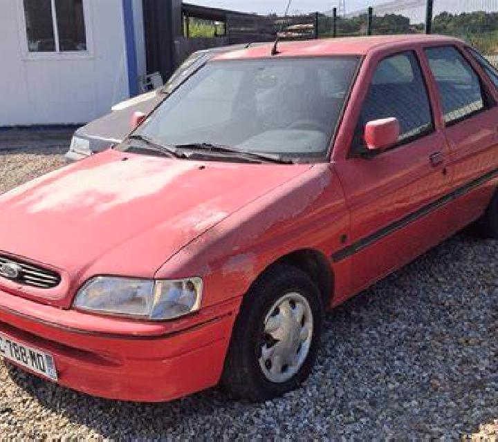 escort Sykhiv