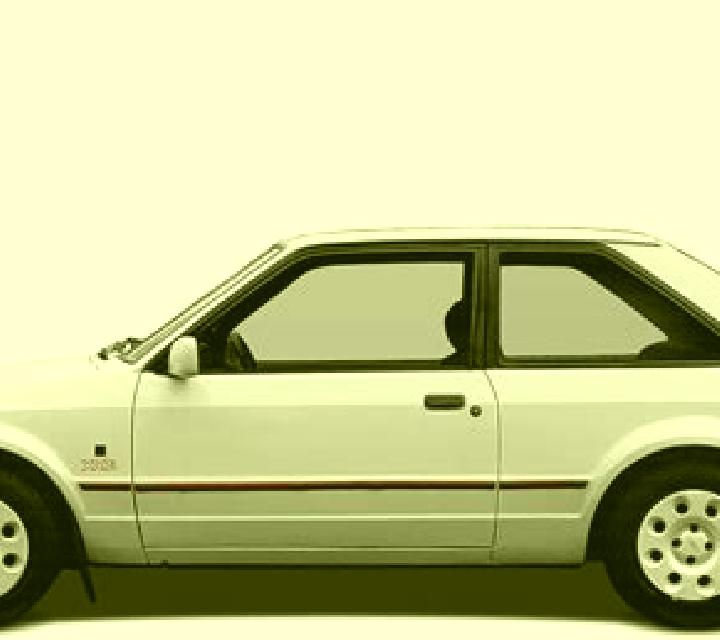 escort Tauranga