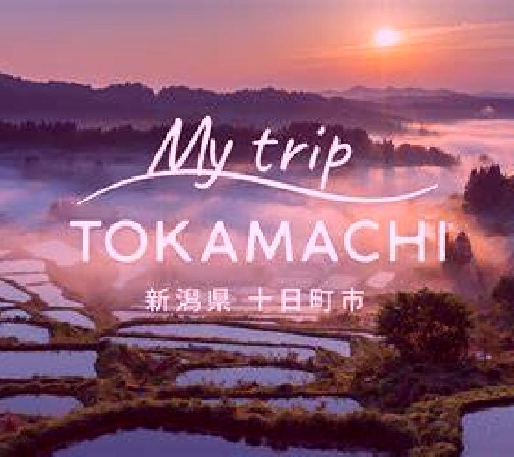 escort Tokamachi