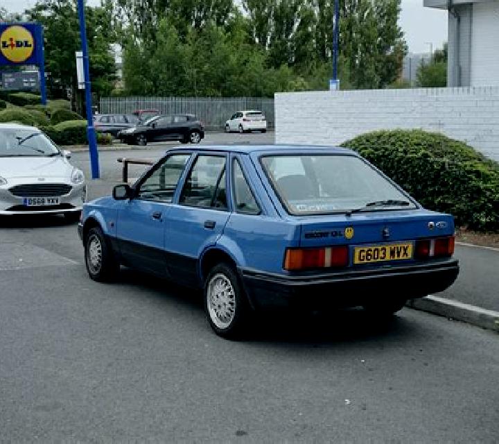 escort Unterbodnitz