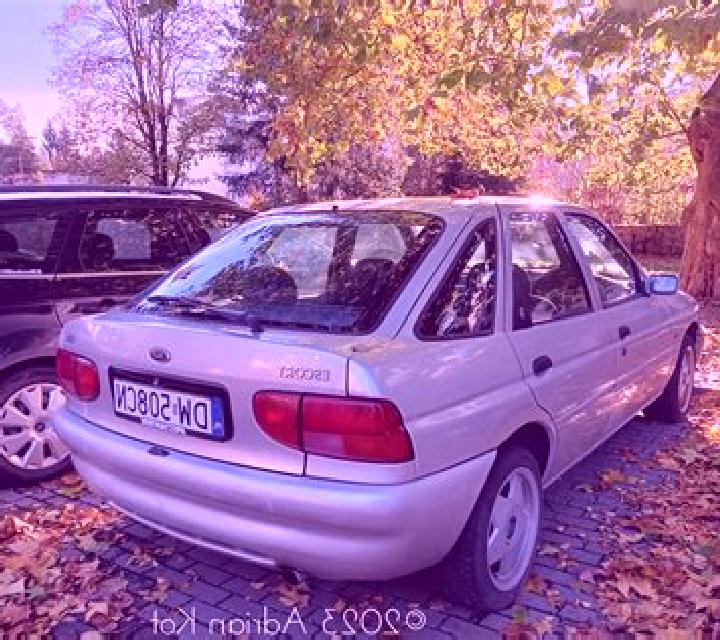 escort Vistuk