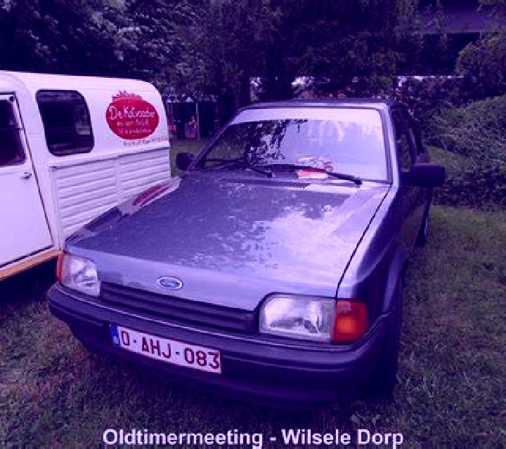 escort Wilsele