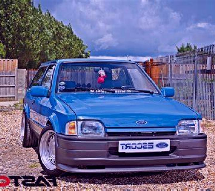 escort Yanghong