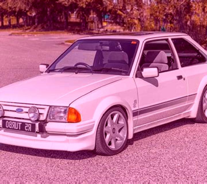escort Zhaludok